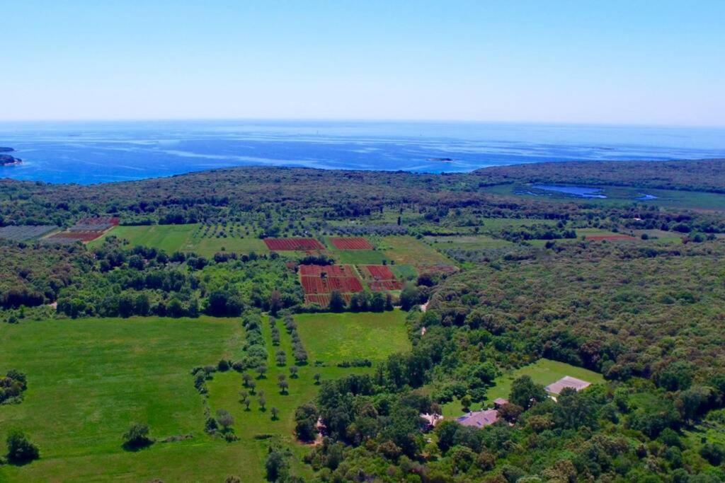 Villa Birds House Rovinj Exterior photo