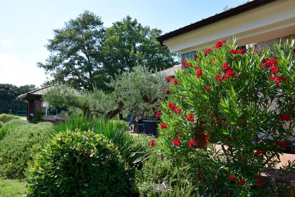 Villa Birds House Rovinj Exterior photo